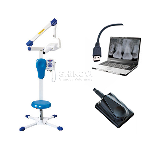 디지털 치과 X-ray Lmaging 시스템 (Dental DR)