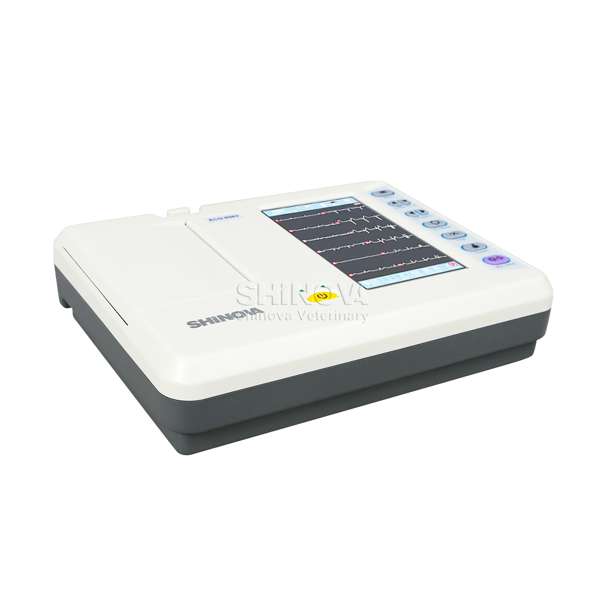 휴대용 수의사 ECG 기계 수의사 심전도