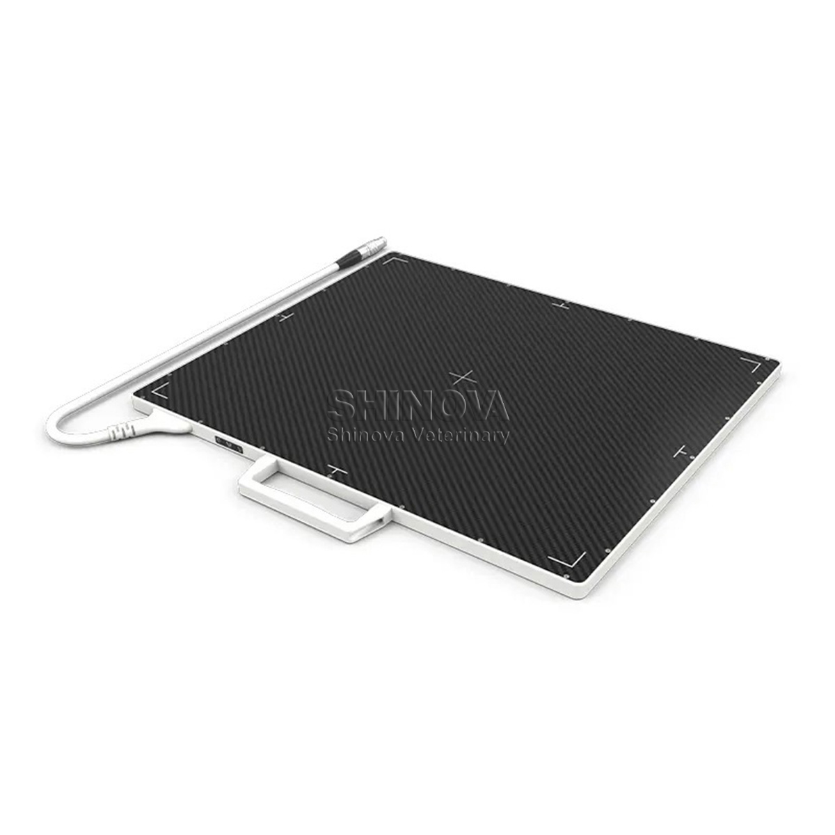 엑스레이 평면 패널 탐지기