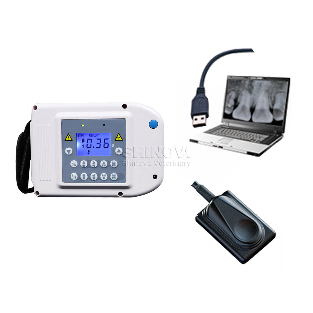 디지털 치과 X-ray Lmaging 시스템 (Dental DR)